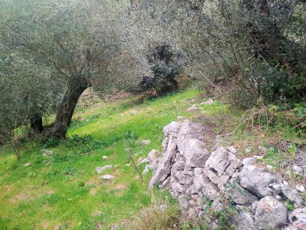 Земля на Корфу, Греция, 4 363 м² - фото 4