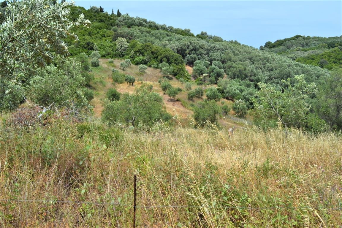 Земля на Корфу, Греция, 12 000 м² - фото 4