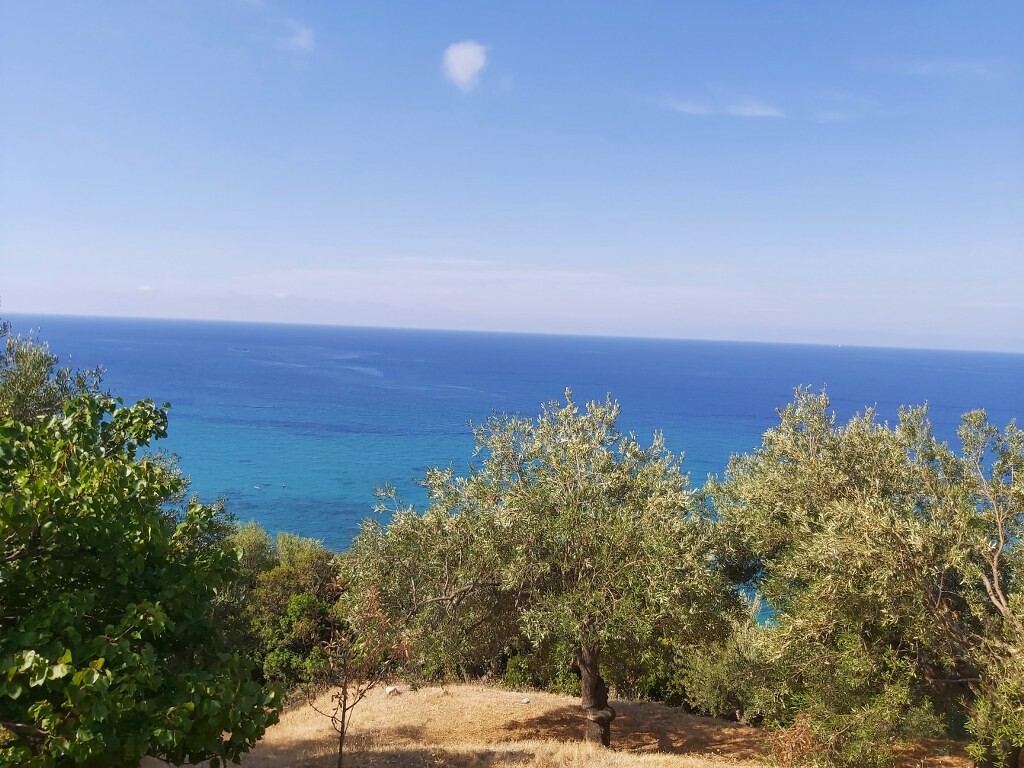 Земля на Корфу, Греция, 8 600 м² - фото 4