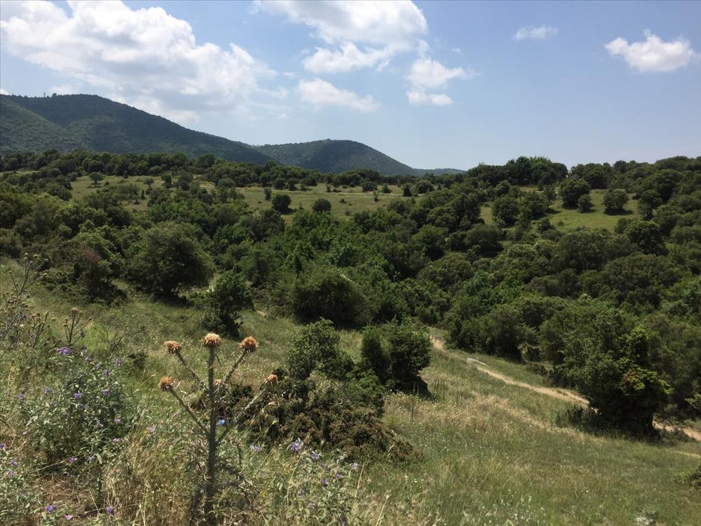 Земля в Салониках, Греция, 12 100 м² - фото 4