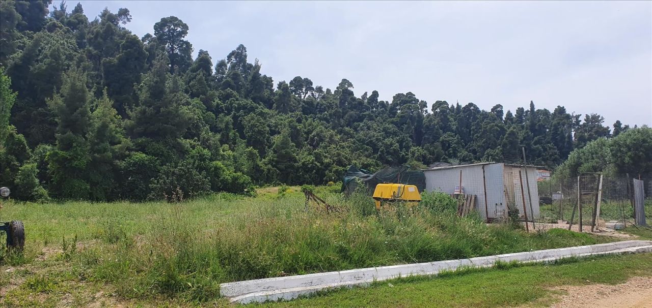 Земля на Кассандре, Греция, 5 786 м² - фото 4