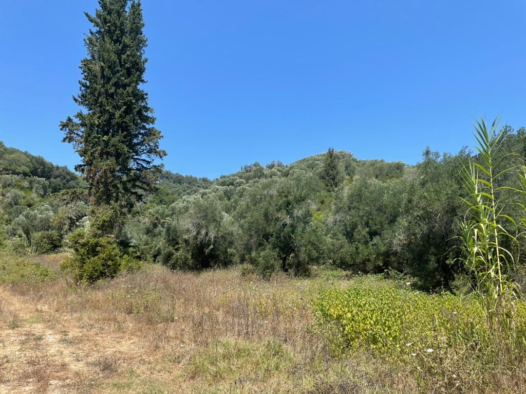 Земля на Корфу, Греция, 11 450 м² - фото 4