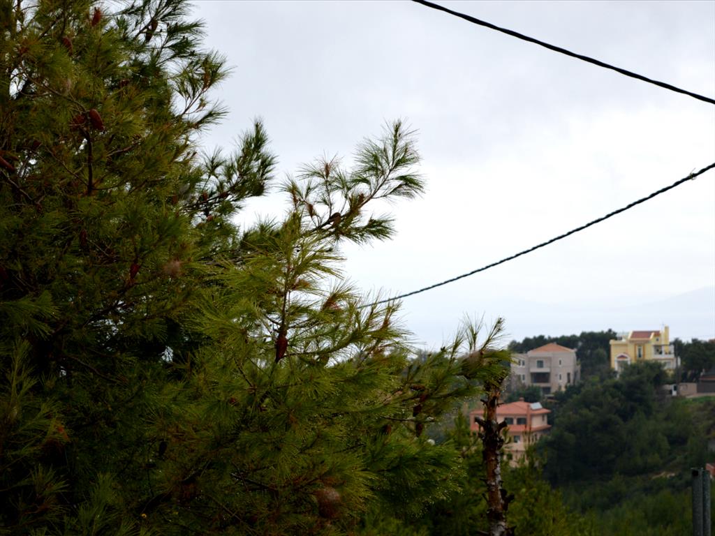 Дом в Аттике, Греция, 406 м² - фото 4