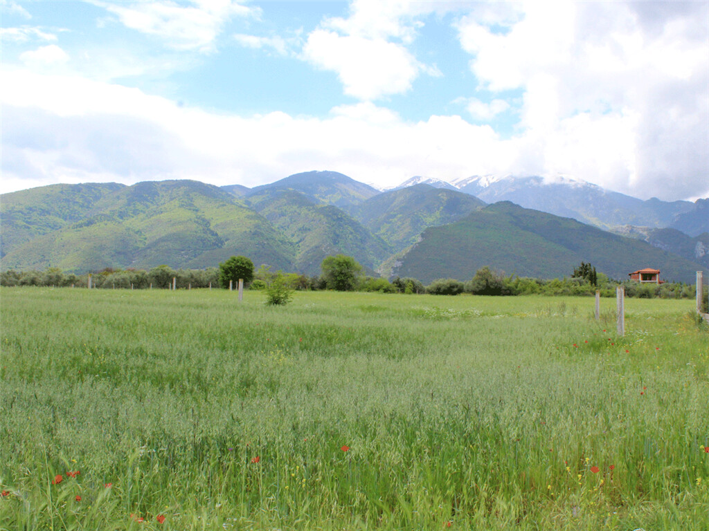 Земля в Олимпиаки-Акти, Греция, 6 599 м² - фото 4