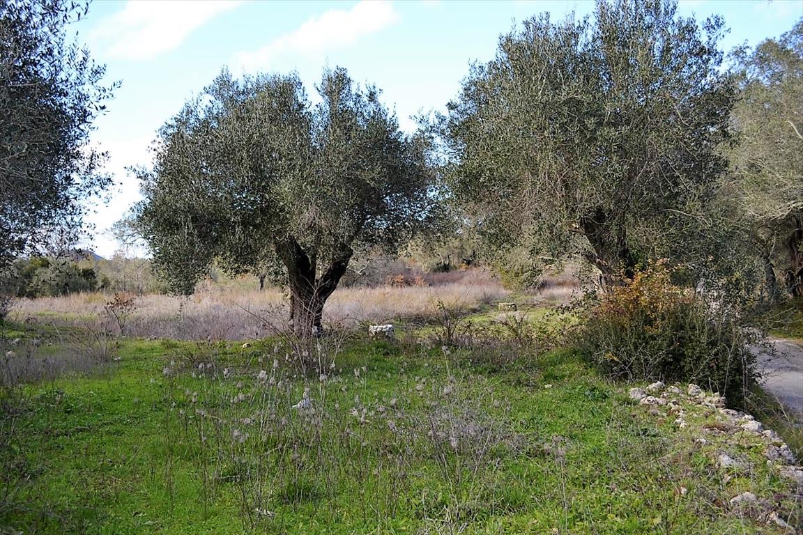 Земля на Корфу, Греция, 20 000 м² - фото 4