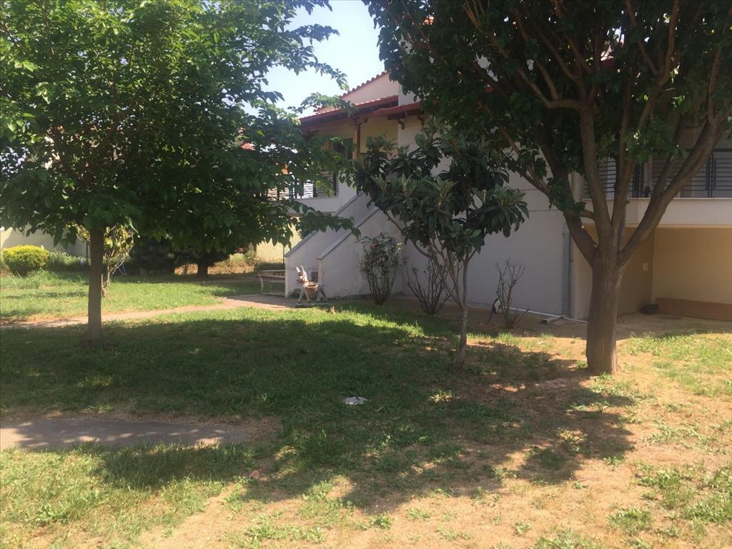 Дом на Халкидиках, Греция, 180 м² - фото 4