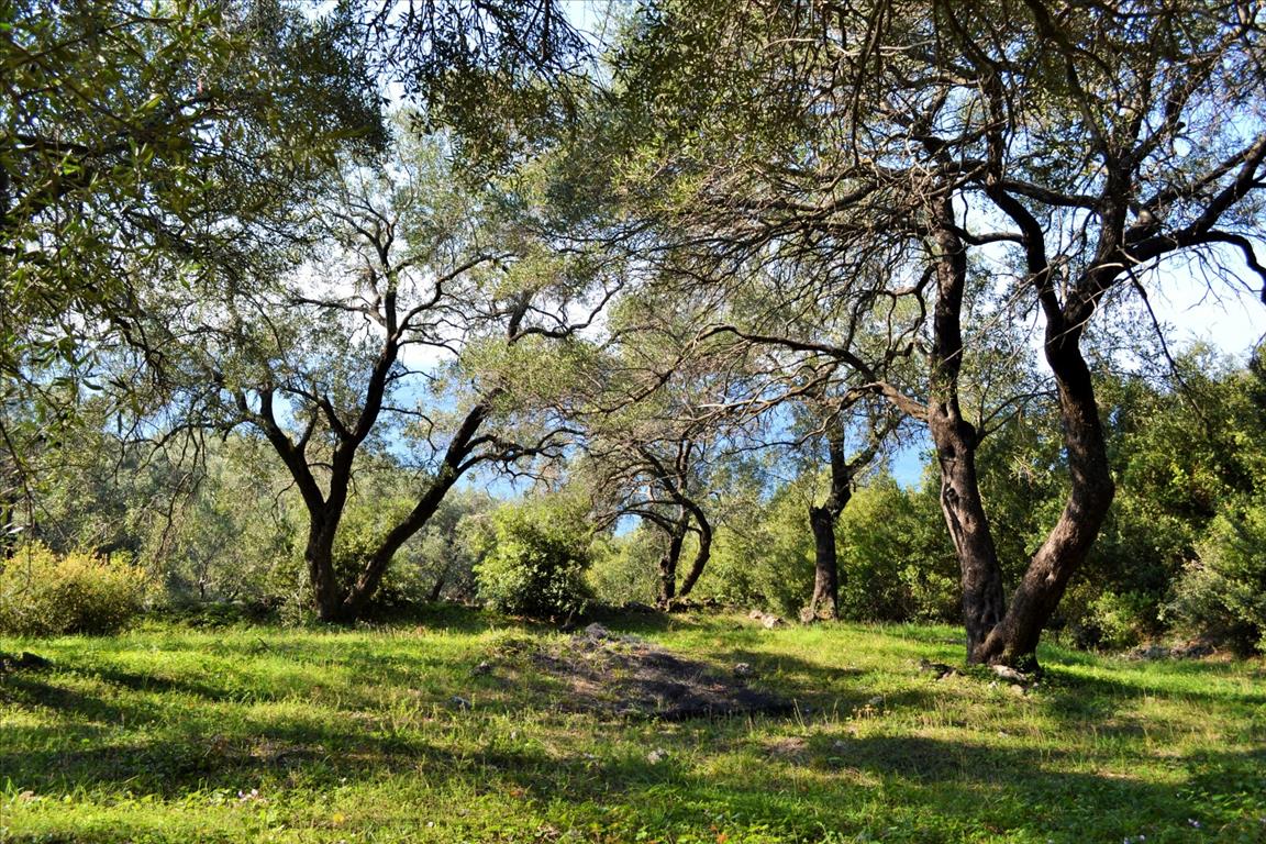 Земля на Корфу, Греция, 7 606 м² - фото 4