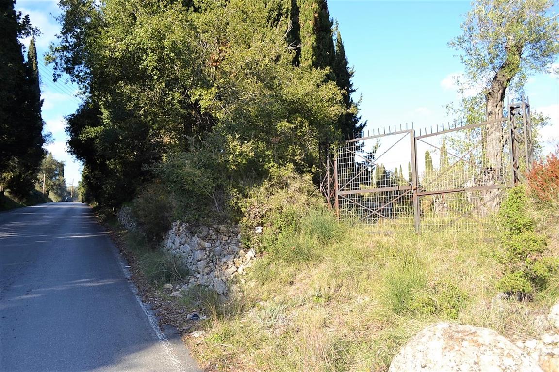 Земля на Корфу, Греция, 8 000 м² - фото 4