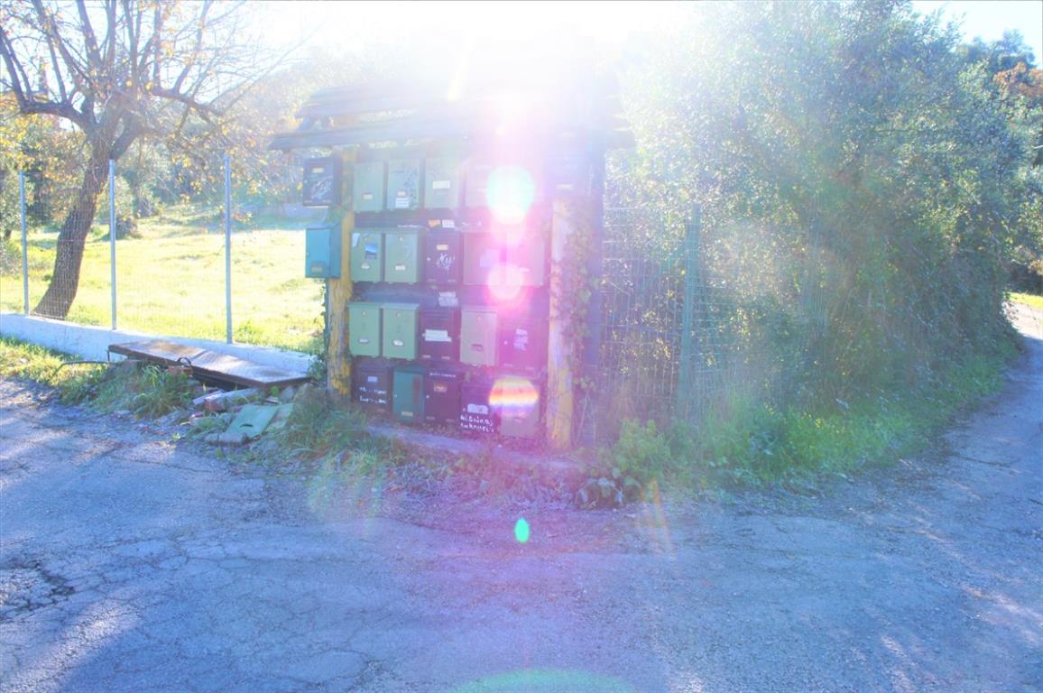 Земля на Корфу, Греция, 4 000 м² - фото 4