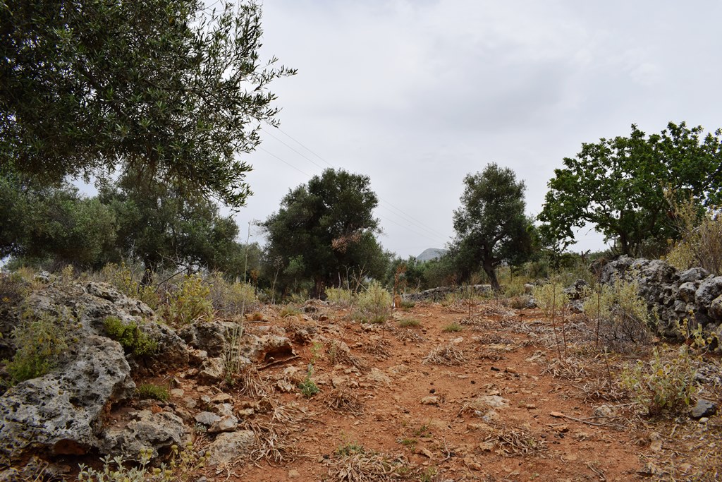 Земля в Ираклионе, Греция, 4 000 м² - фото 4