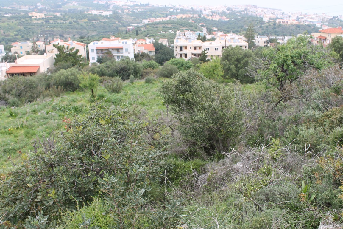 Земля в Ираклионе, Греция, 2 000 м² - фото 4