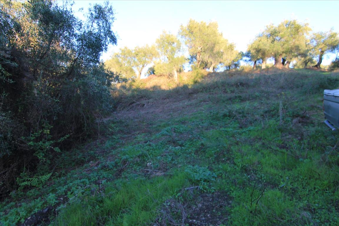 Земля на Корфу, Греция, 5 740 м² - фото 4