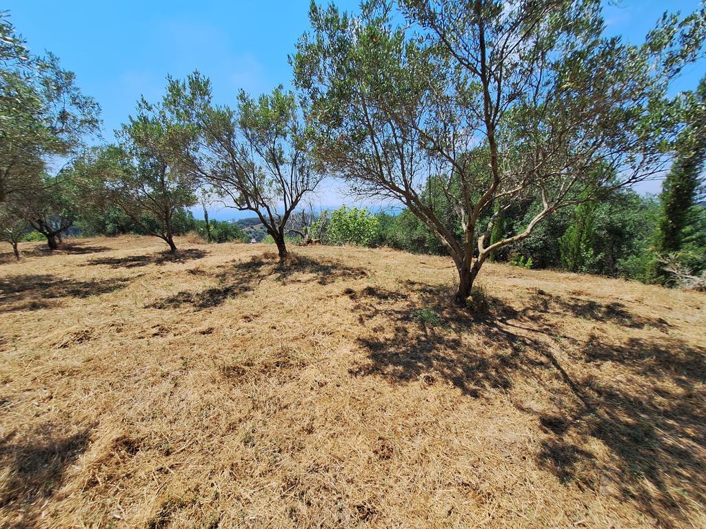 Земля на Корфу, Греция, 3 310 м² - фото 4