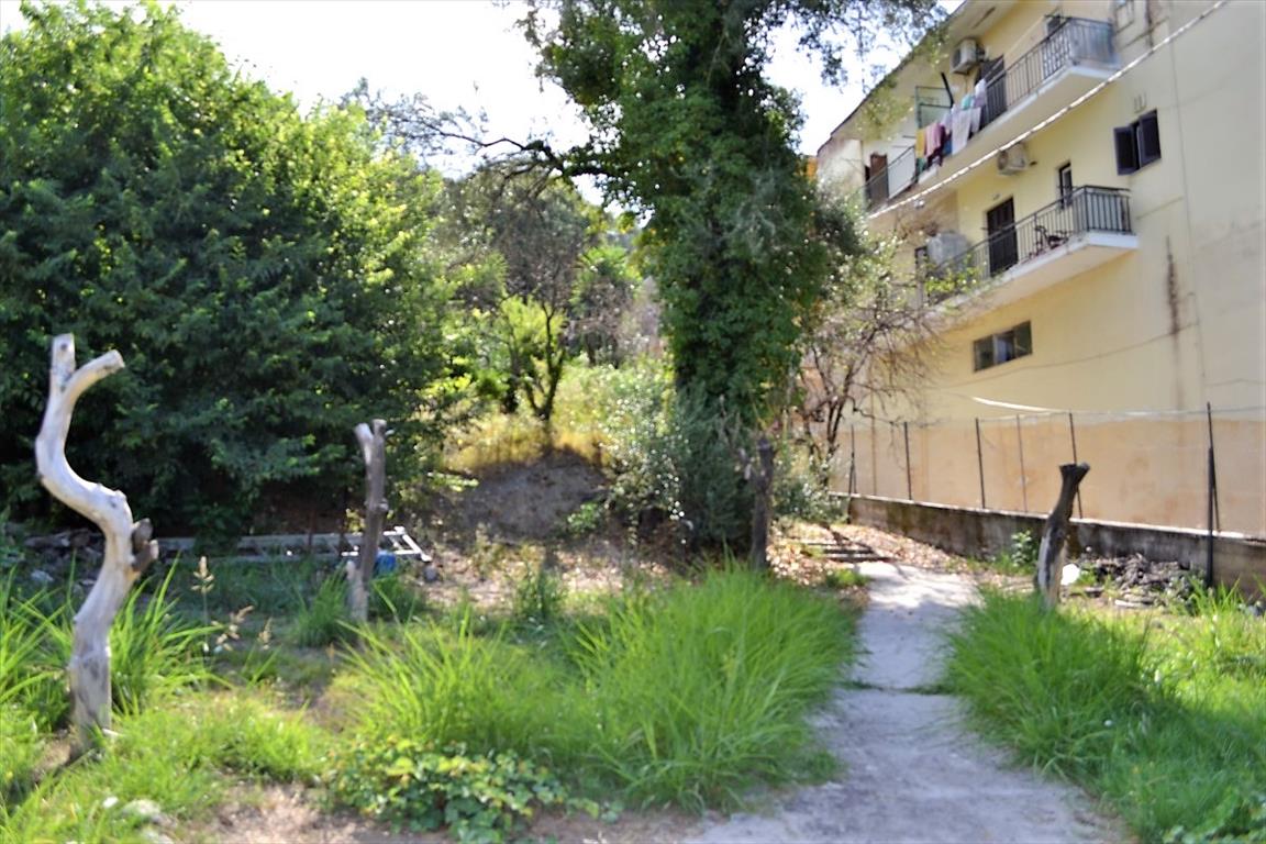 Дом на Корфу, Греция, 150 м² - фото 4