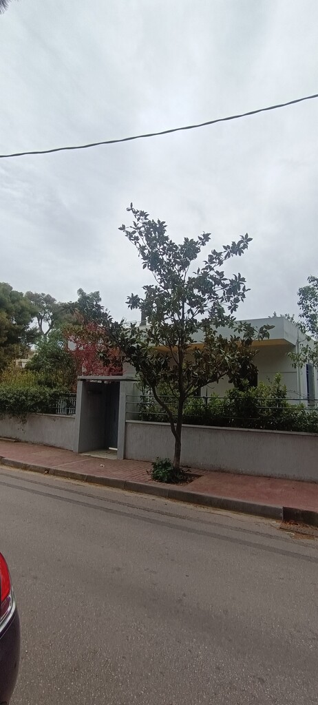 Земля в Афинах, Греция, 650 м² - фото 4