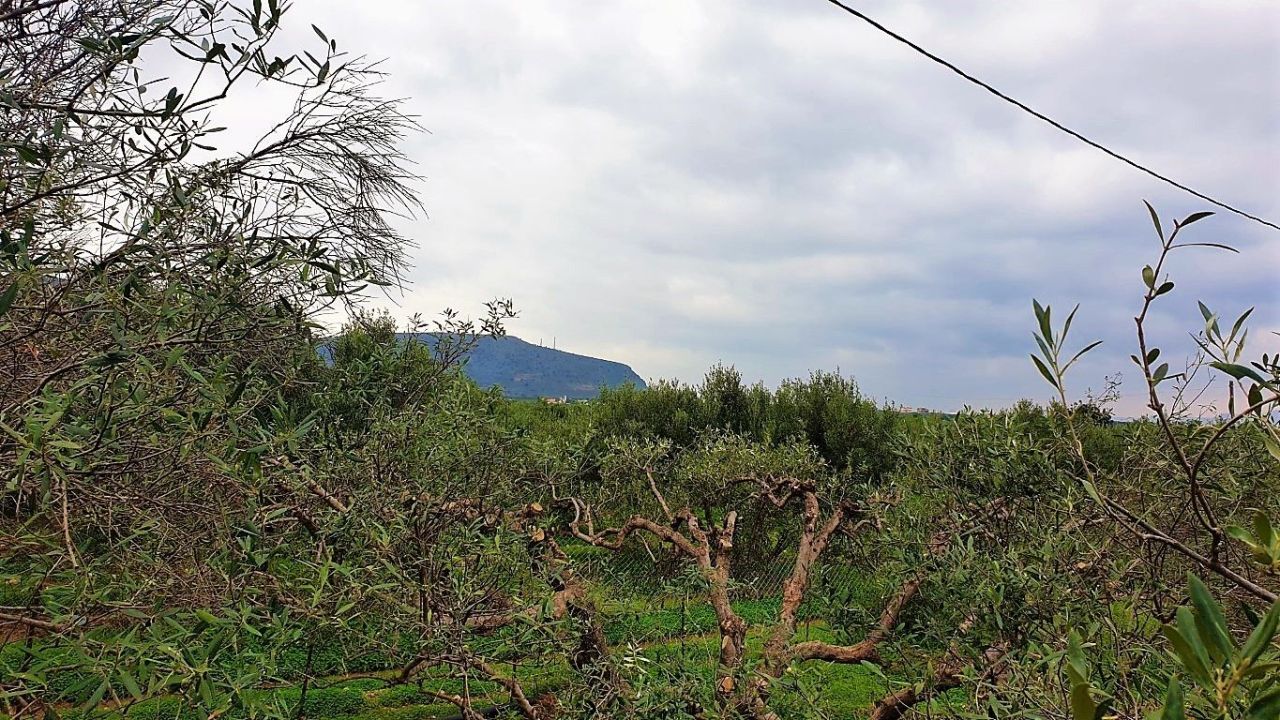 Земля в Ираклионе, Греция, 2 500 м² - фото 4