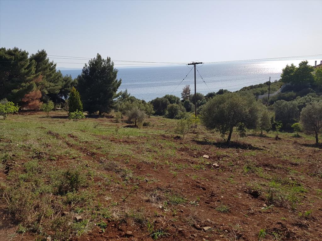 Земля в Ситонии, Греция, 6 500 м² - фото 4