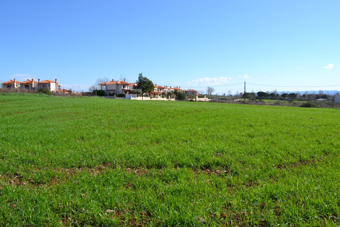 Земля на Кассандре, Греция, 6 700 м² - фото 4