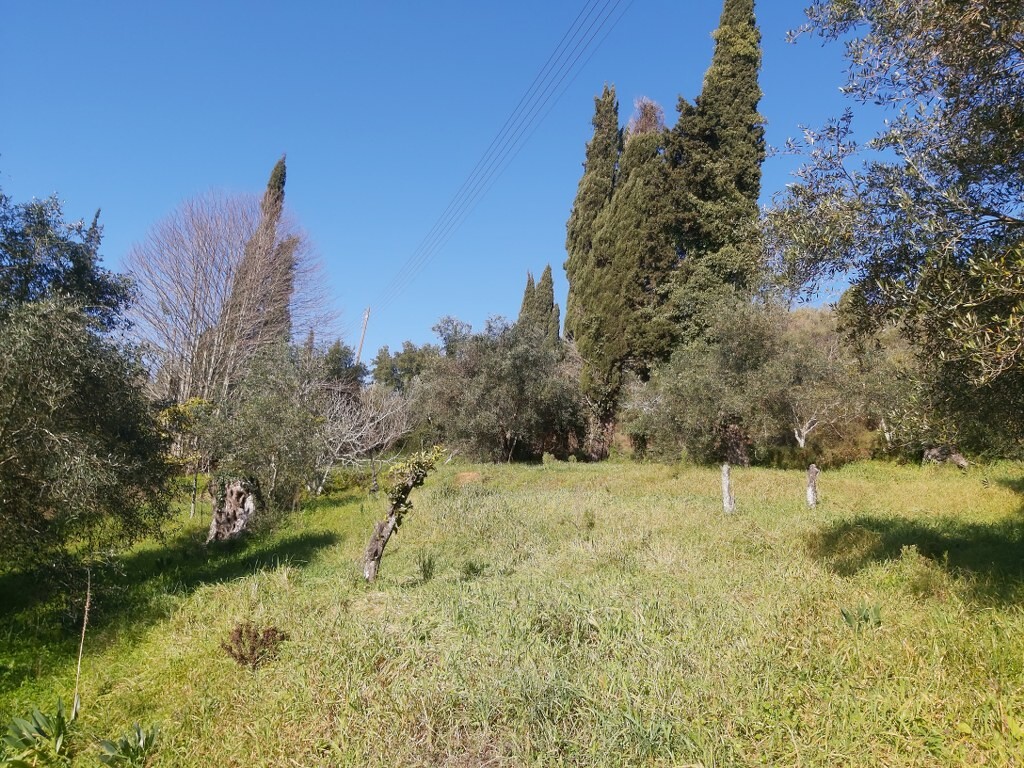 Земля на Корфу, Греция, 9 000 м² - фото 4