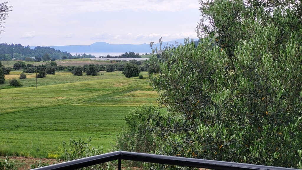 Дом на Кассандре, Греция, 200 м² - фото 4