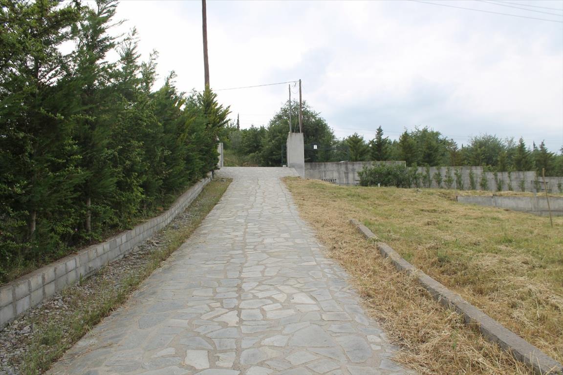 Дом в Салониках, Греция, 250 м² - фото 4