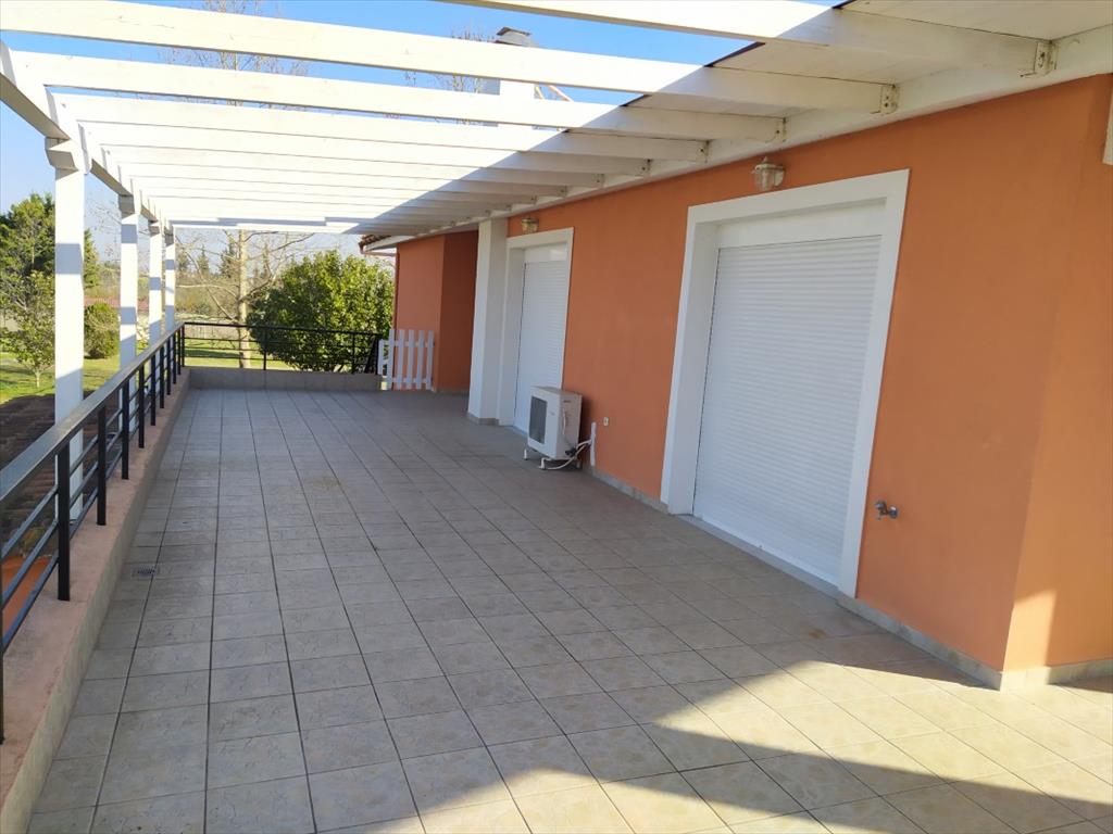 Дом в Салониках, Греция, 470 м² - фото 4