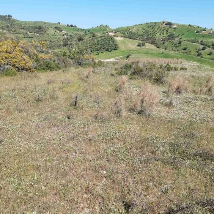 Земля в Ситонии, Греция, 2 233 м² - фото 4