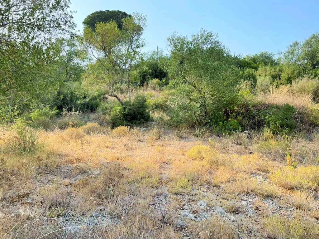 Земля на Корфу, Греция, 21 000 м² - фото 4