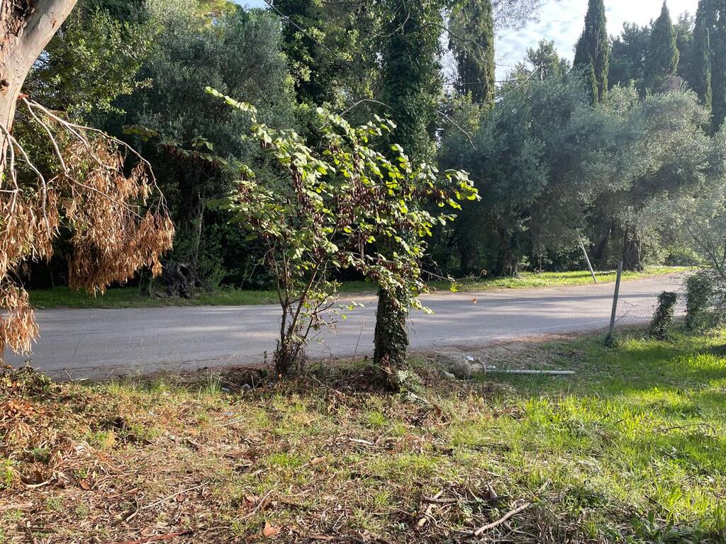 Земля на Корфу, Греция, 3 321 м² - фото 4