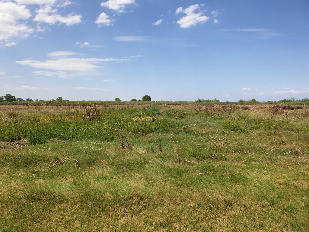 Земля в Олимпиаки-Акти, Греция, 12 955 м² - фото 4