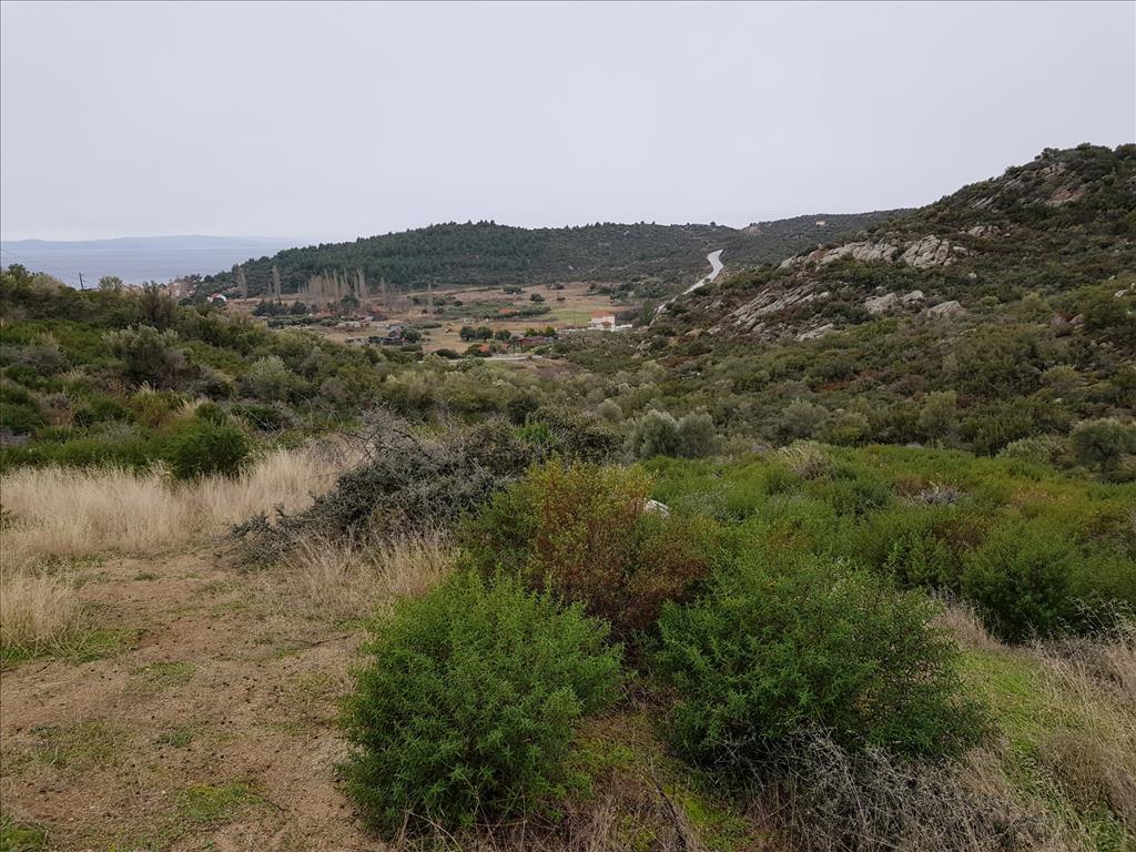 Земля в Ситонии, Греция, 12 500 м² - фото 4