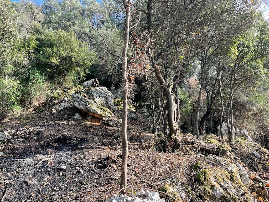 Земля на Корфу, Греция, 6 260 м² - фото 4