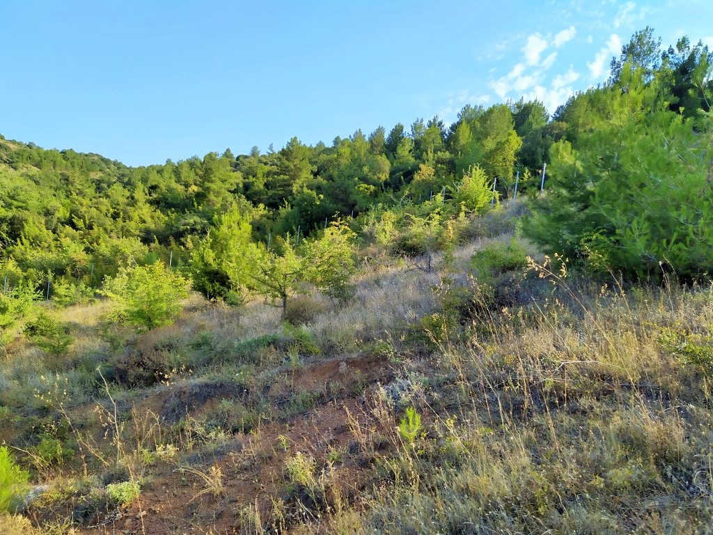 Земля в Салониках, Греция, 4 100 м² - фото 4