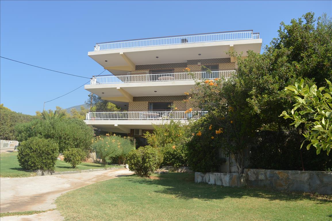 Дом в Аттике, Греция, 240 м² - фото 4