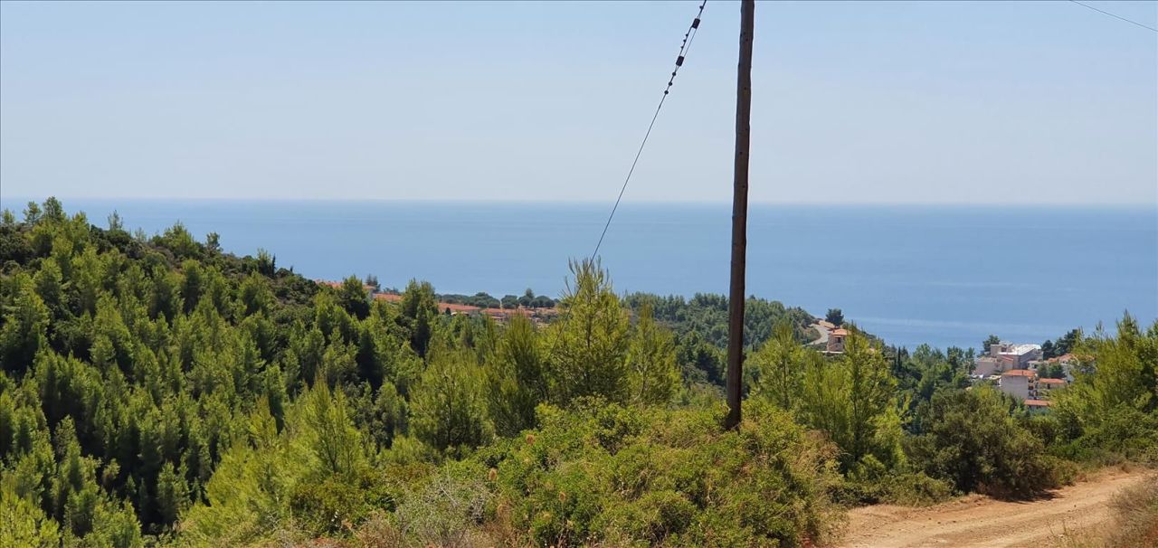 Земля на Кассандре, Греция, 5 700 м² - фото 4