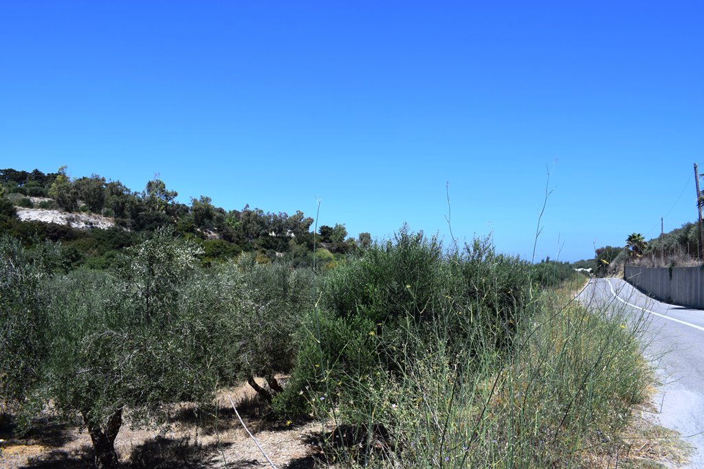 Земля в Ираклионе, Греция, 5 500 м² - фото 4