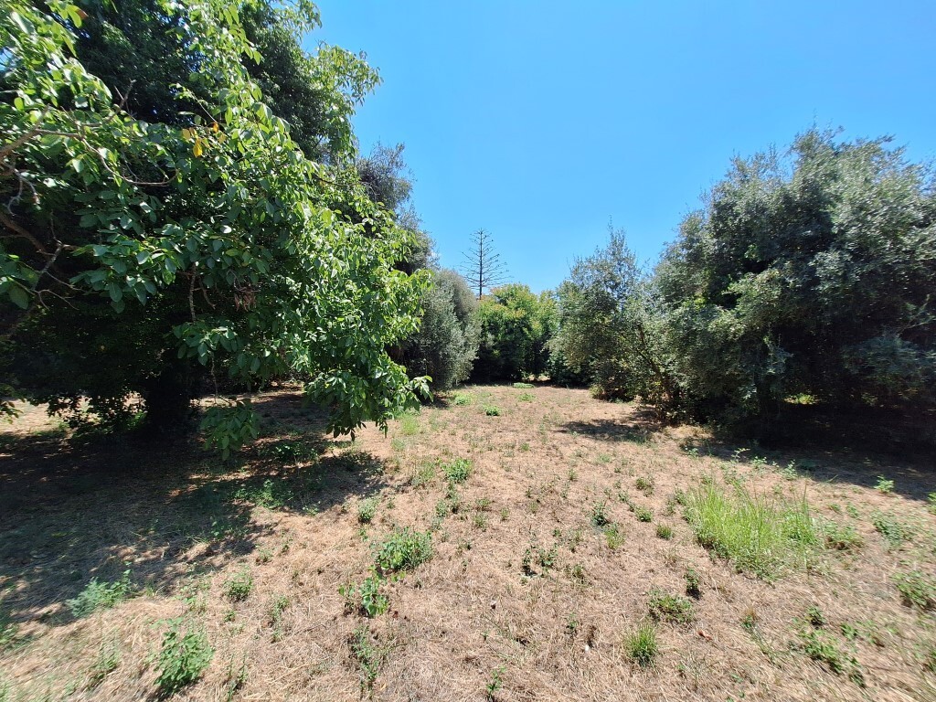 Земля на Корфу, Греция, 4 600 м² - фото 4