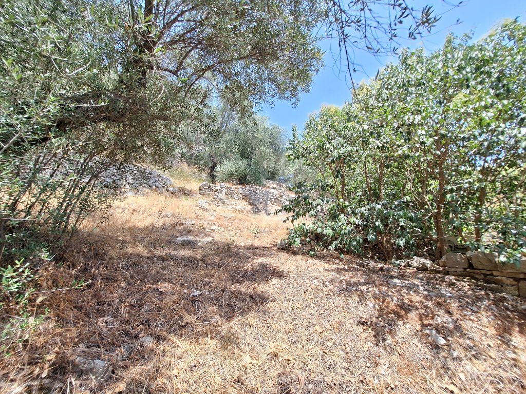 Земля на Корфу, Греция, 6 000 м² - фото 4