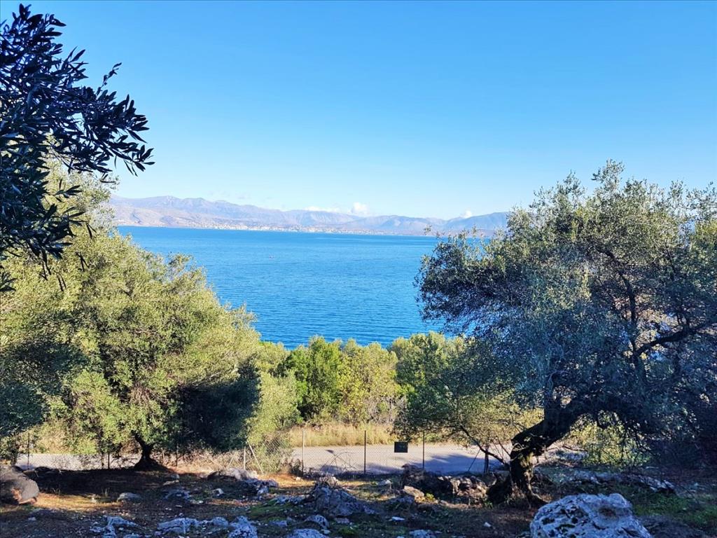 Земля на Корфу, Греция, 12 000 м² - фото 4