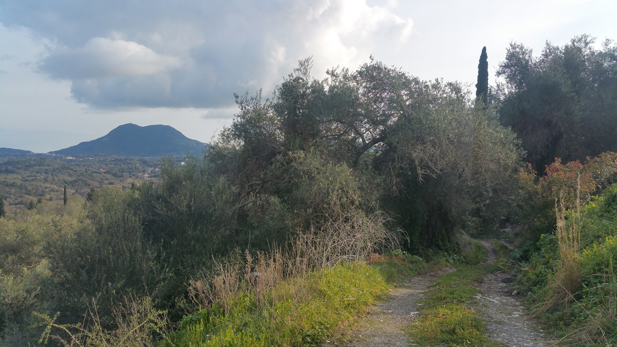 Земля на Корфу, Греция, 12 437 м² - фото 4