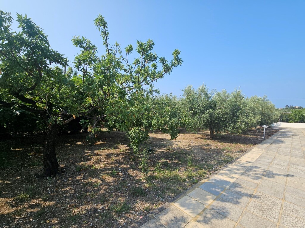 Вилла на Кассандре, Греция, 288 м² - фото 4