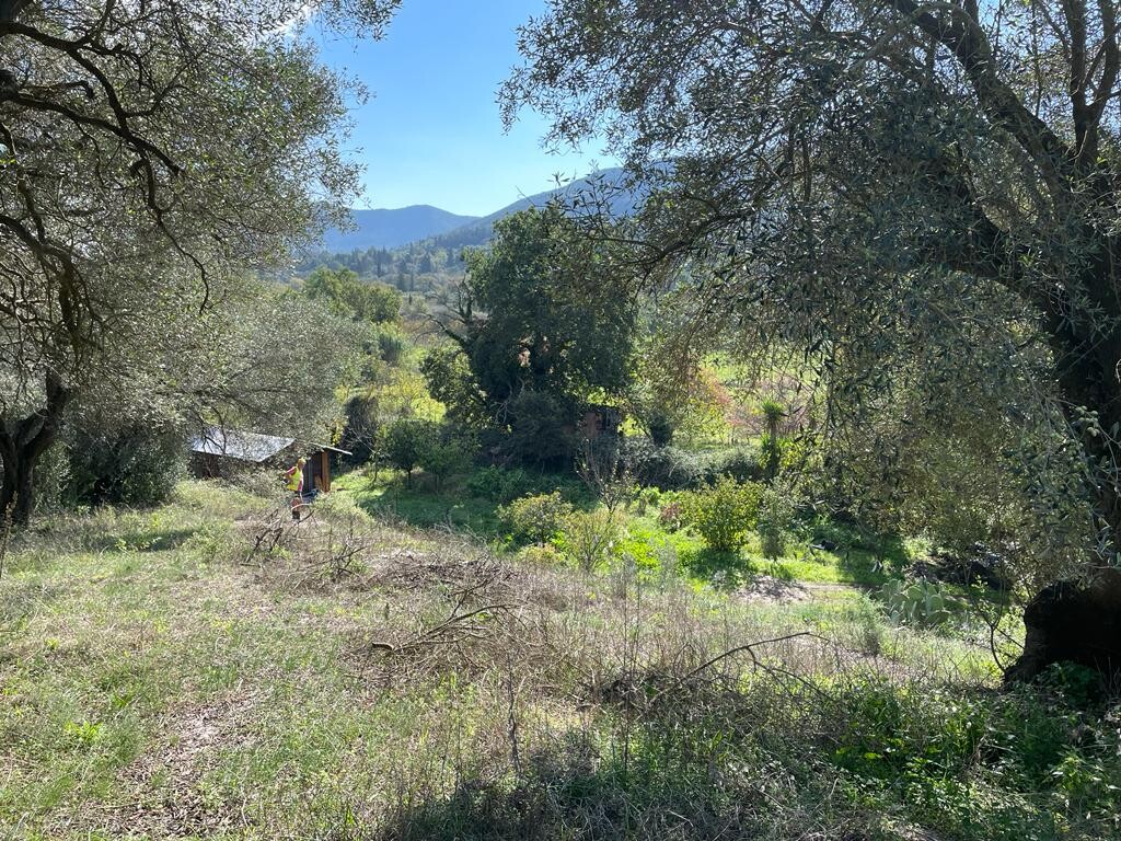 Земля на Корфу, Греция, 5 500 м² - фото 4