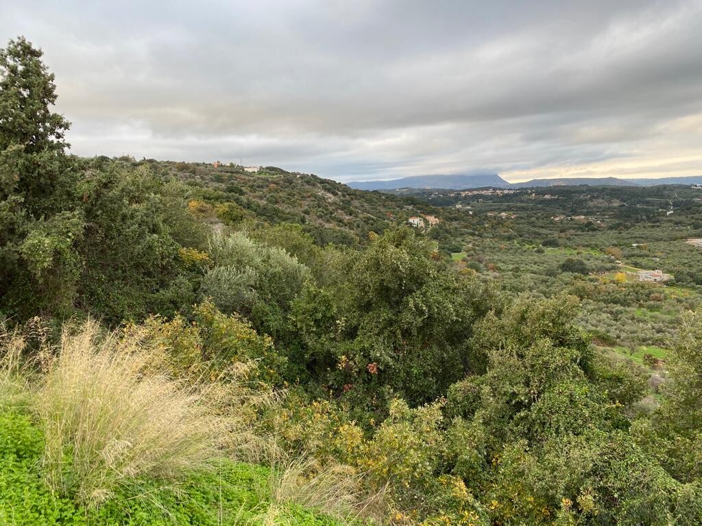 Земля в Ираклионе, Греция, 8 000 м² - фото 4