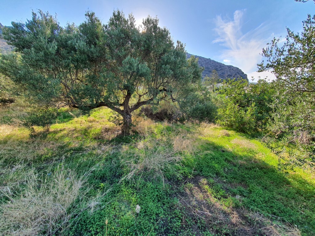 Земля в Ираклионе, Греция, 4 000 м² - фото 4