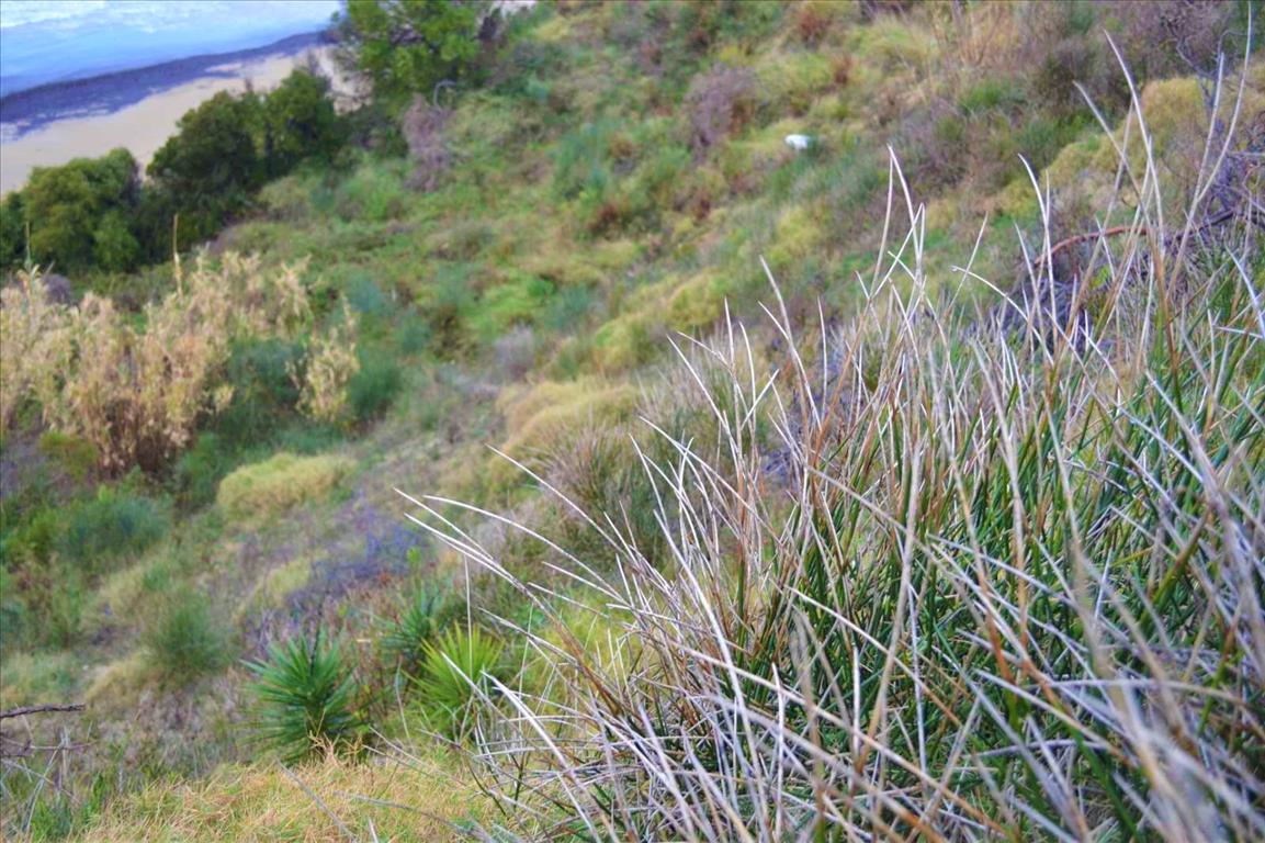 Земля на Корфу, Греция, 2 522 м² - фото 4