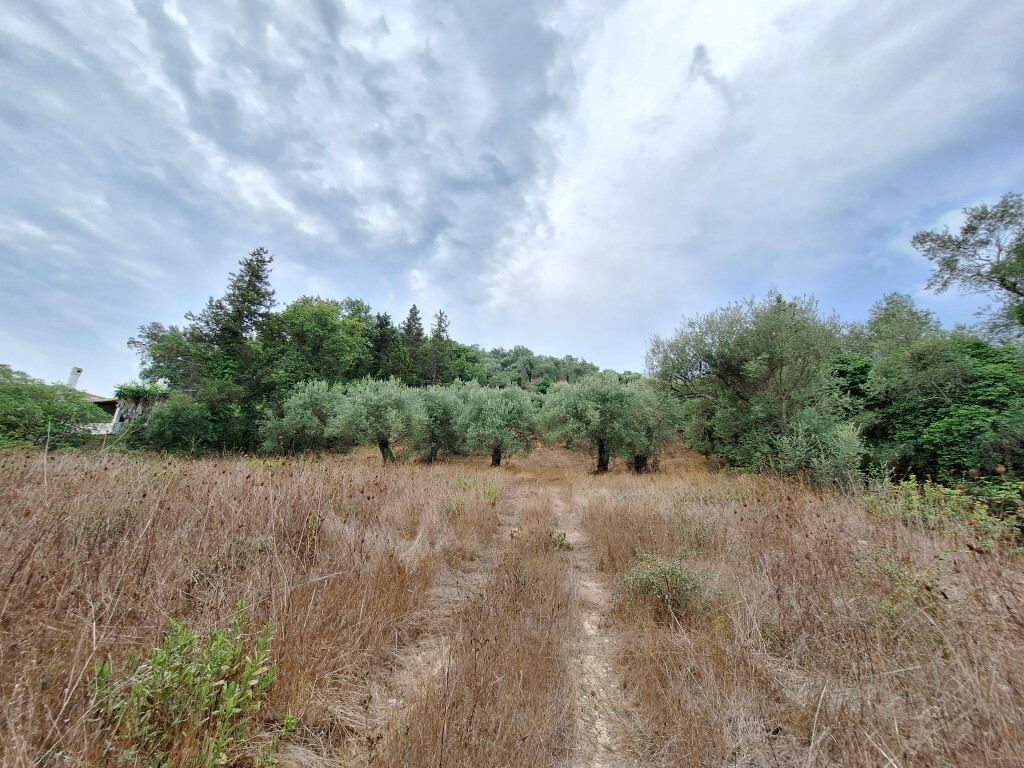 Земля на Корфу, Греция, 13 000 м² - фото 4