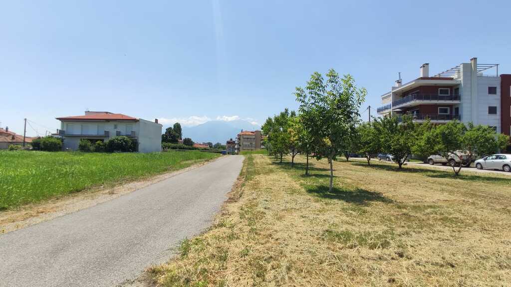 Земля в Олимпиаки-Акти, Греция, 610 м² - фото 4