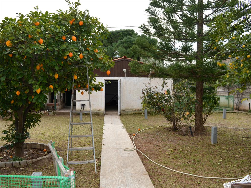 Мезонет в Аттике, Греция, 220 м² - фото 4