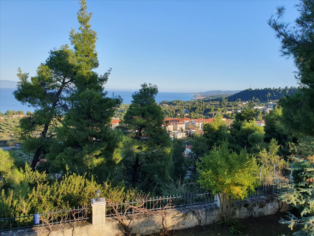 Дом на Кассандре, Греция, 120 м² - фото 4