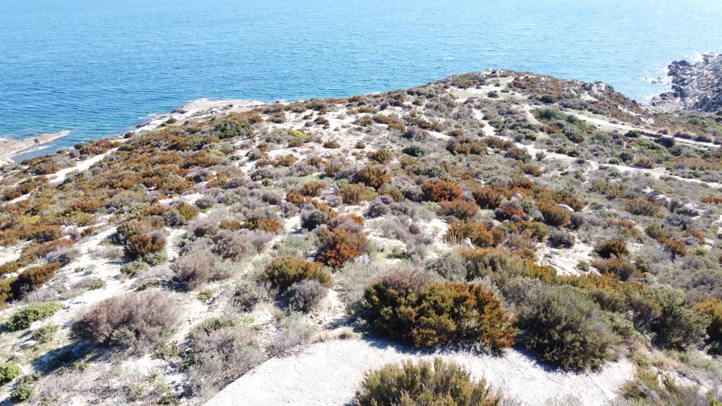 Земля на Халкидиках, Греция, 500 м² - фото 4